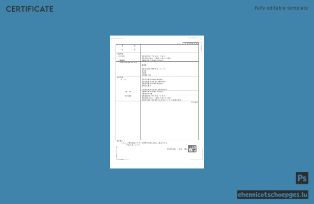 Japanische Geburtsurkunde (Word und PDF), vollständig bearbeitbar, Version 2 – Beispielvorschau
